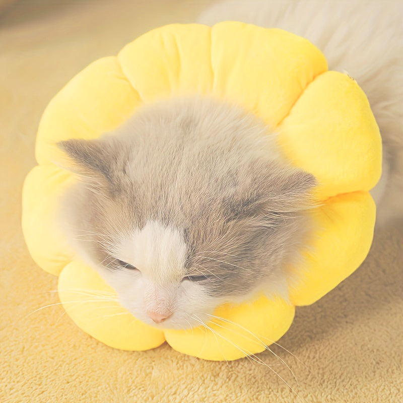 Recovery Collar for Cats & Small Dogs
