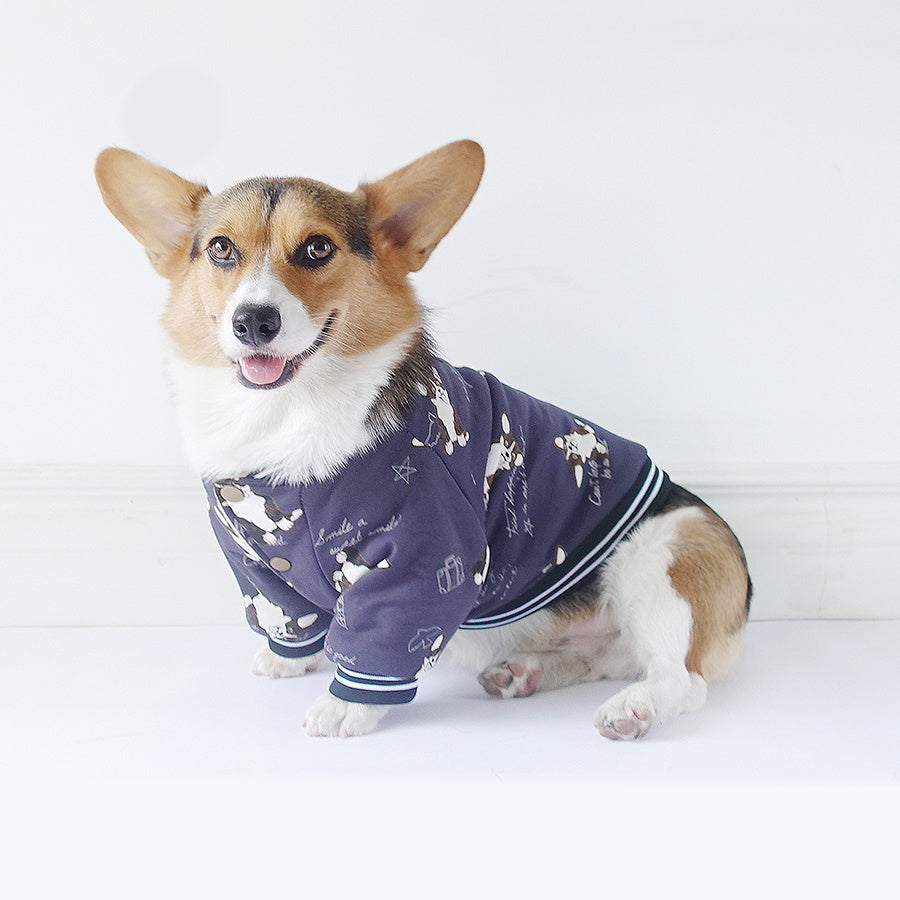 Soft Pet Sweatshirt