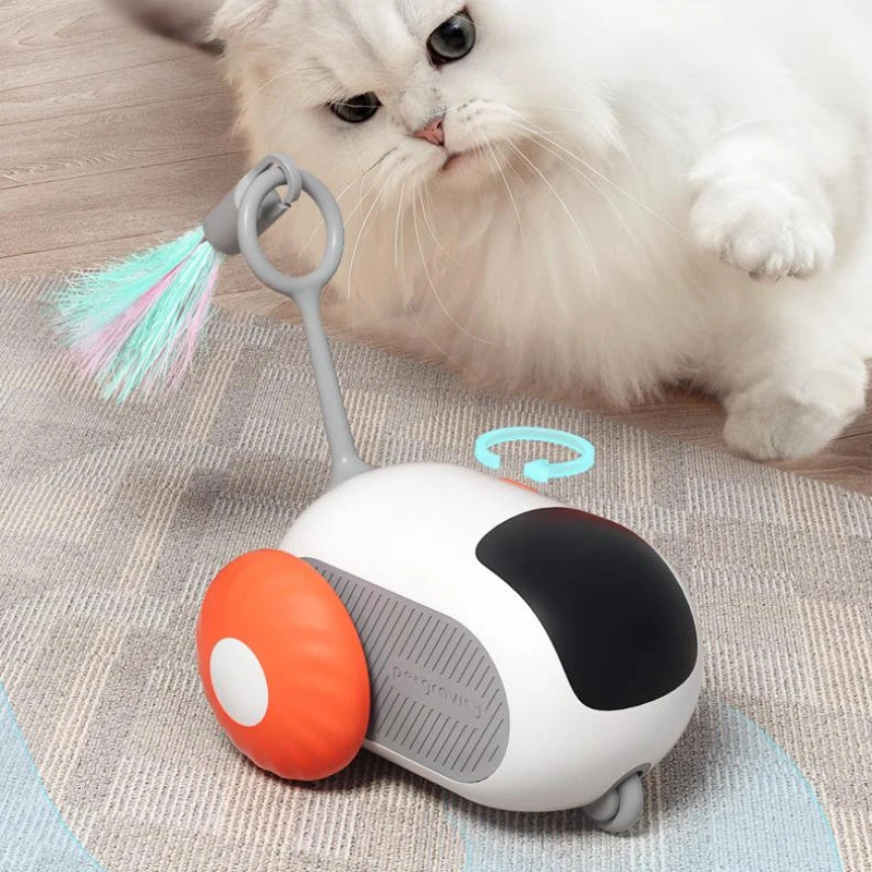Chasey - AI Cat Pal