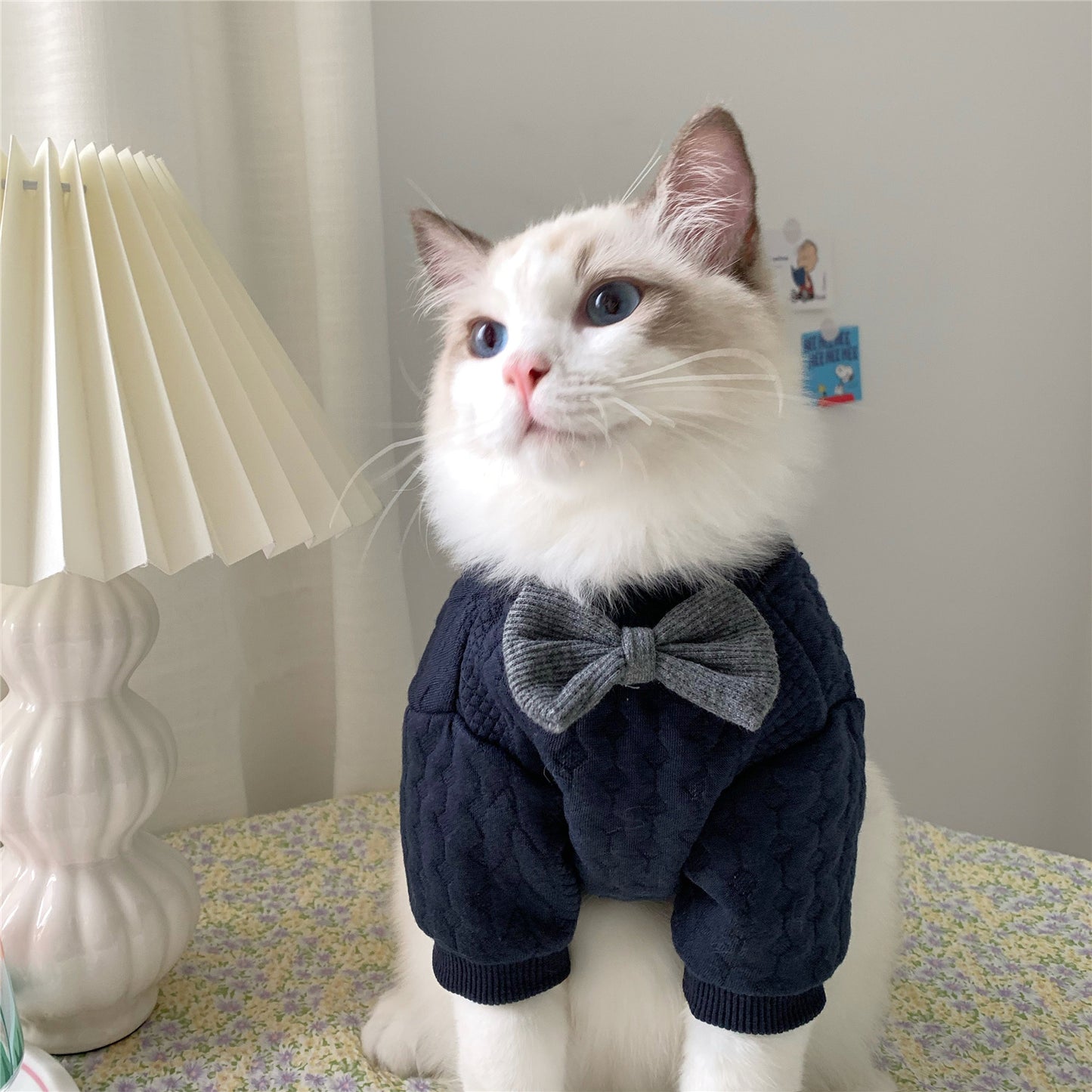 Midnight Tuxedo Sweater