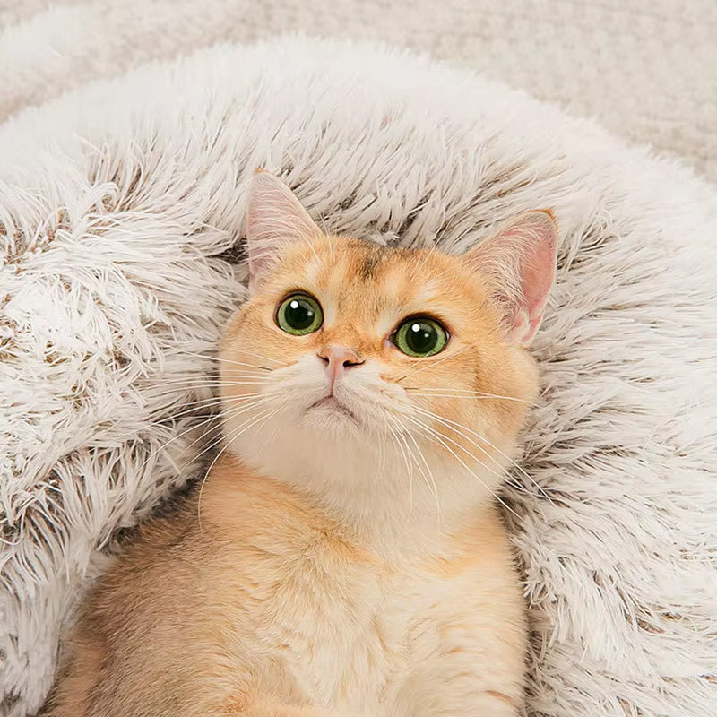 Winter Plush Cat Bed – Cozy Round Nest for Cats & Small Dogs