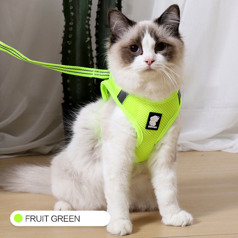Cat Harness – Snug, Secure & Adventure-Ready