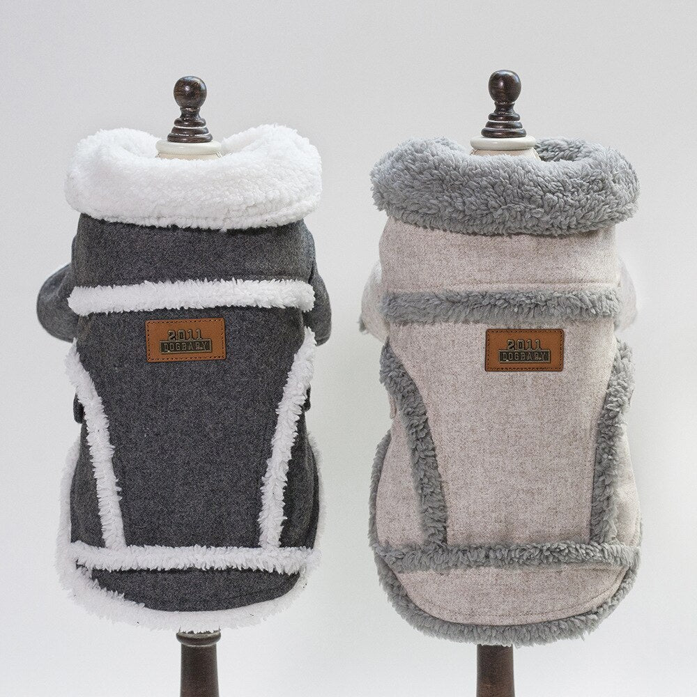 Winter Jacket for Pets – Thick, Warm & Perfect