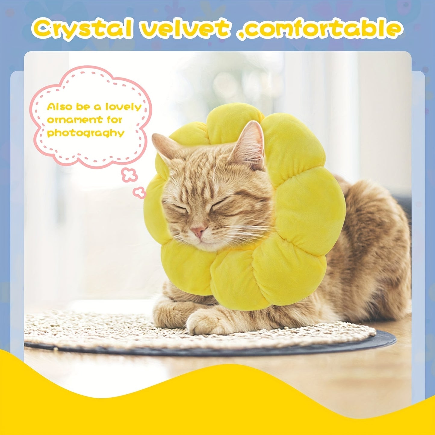 Recovery Collar for Cats & Small Dogs