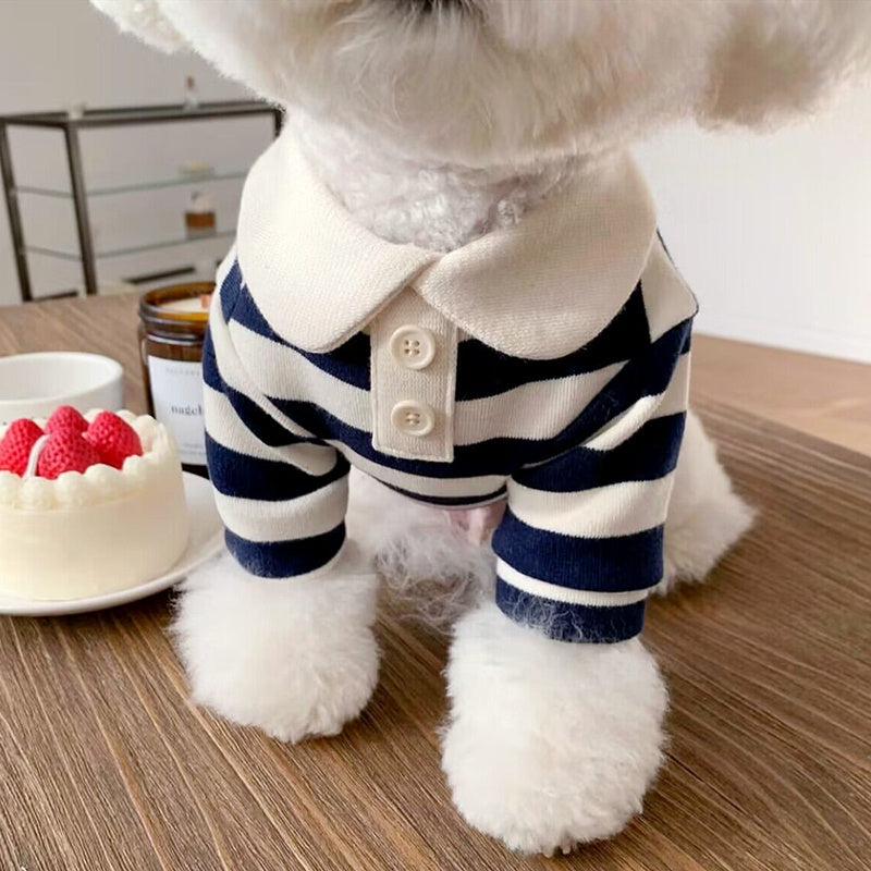 Striped Polo Shirt