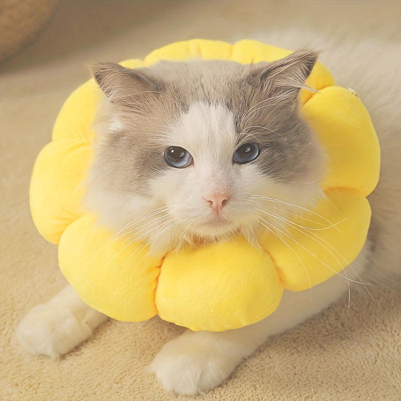 Recovery Collar for Cats & Small Dogs