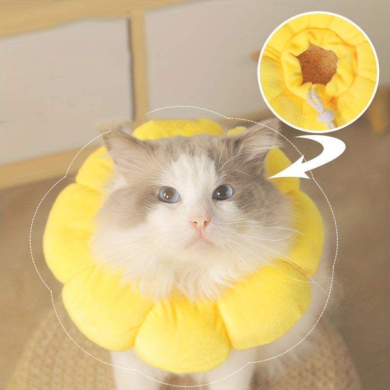 Recovery Collar for Cats & Small Dogs