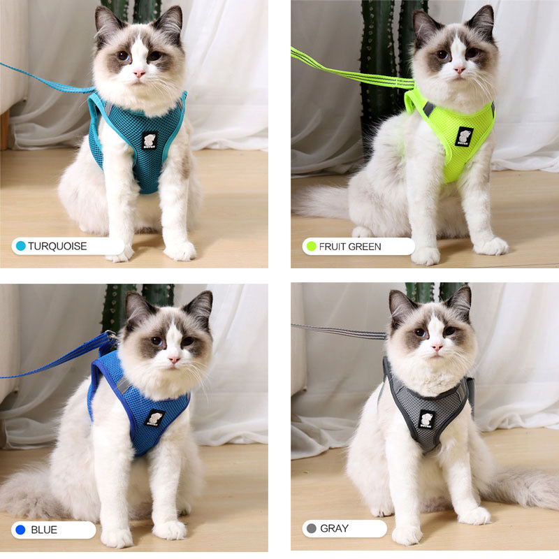 Cat Harness – Snug, Secure & Adventure-Ready