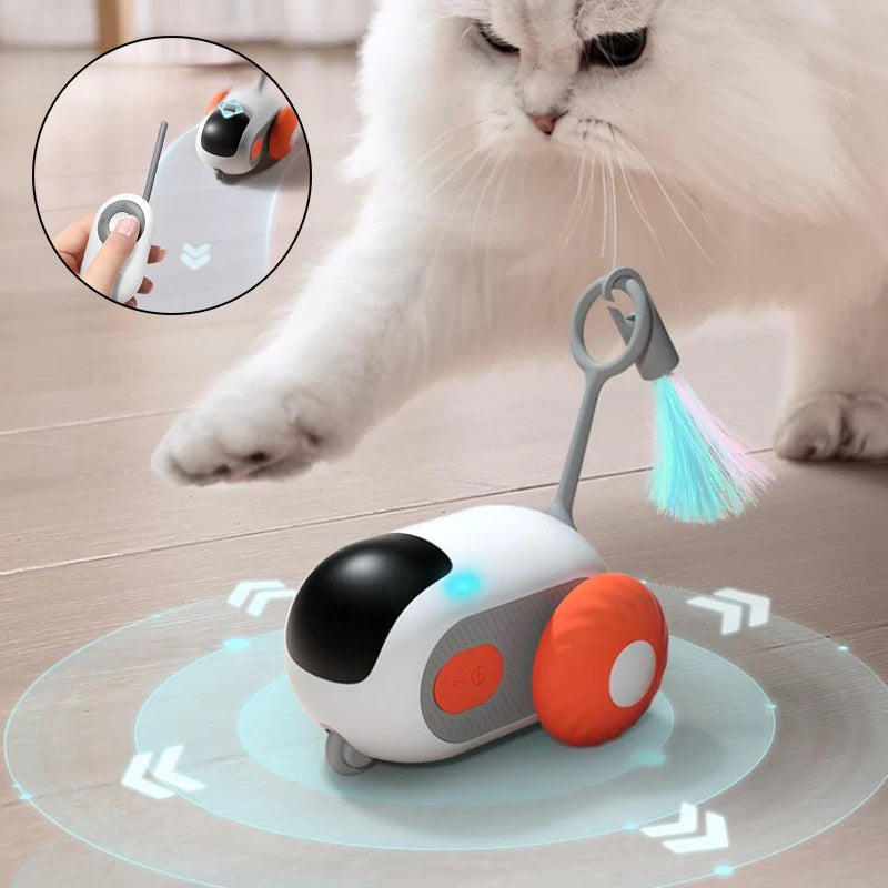 Chasey - AI Cat Pal
