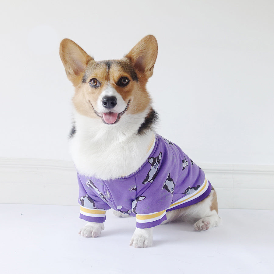 Soft Pet Sweatshirt
