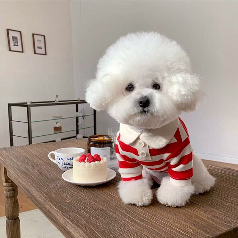 Striped Polo Shirt