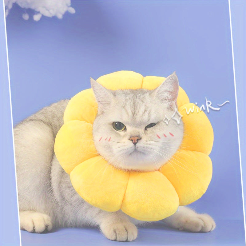 Recovery Collar for Cats & Small Dogs
