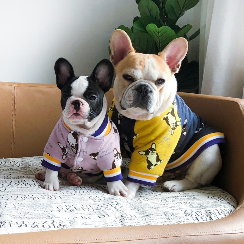 Soft Pet Sweatshirt
