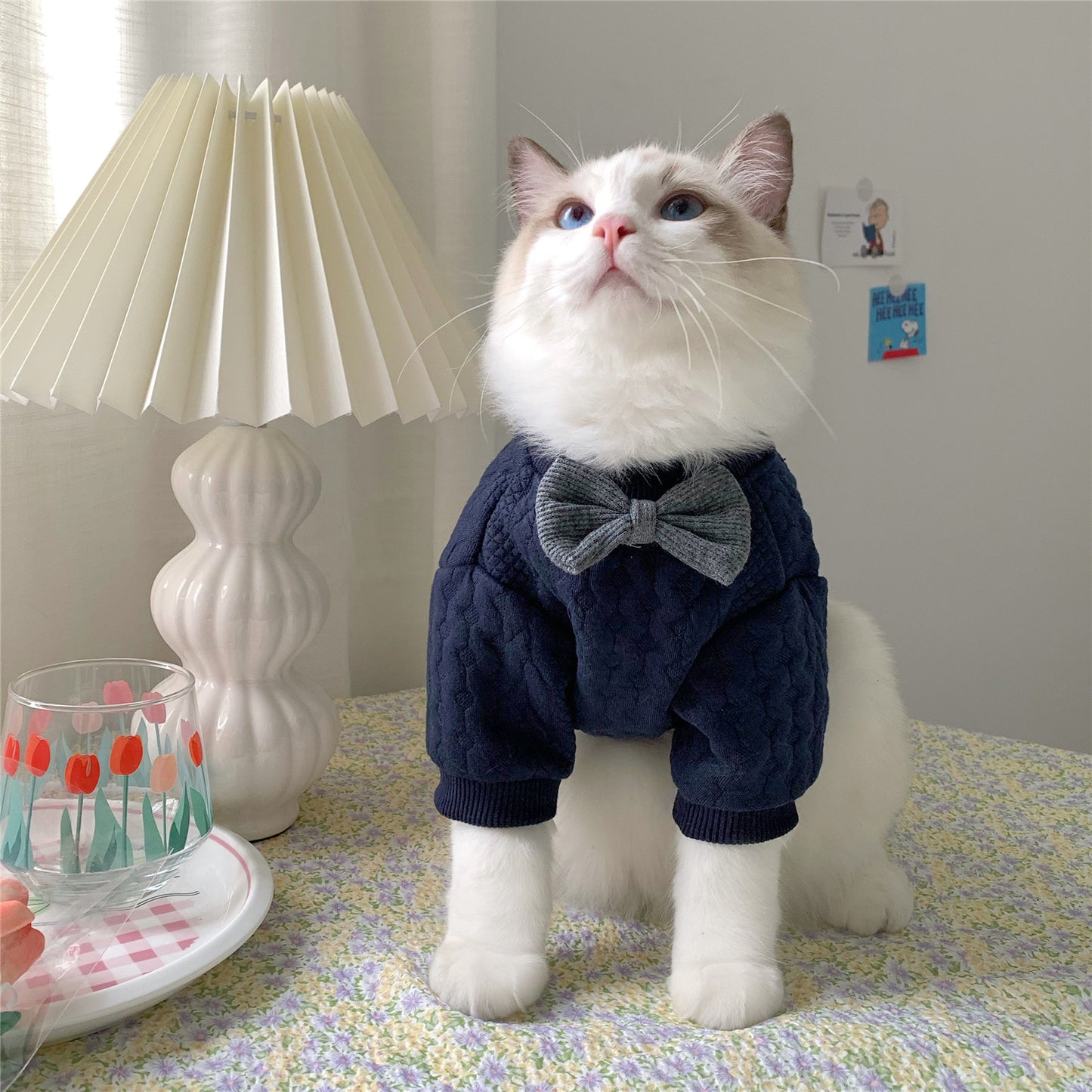 Midnight Tuxedo Sweater